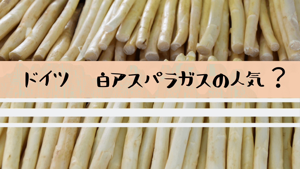 51 ドイツ 白アスパラガスの人気 オンライン学びの場 シャッフェン